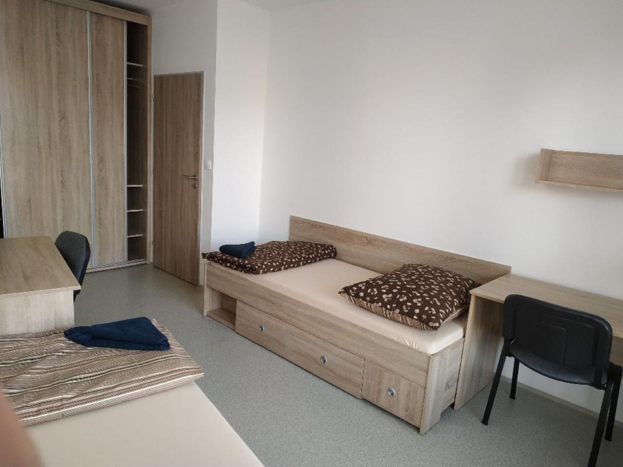 Ubytovaci Zarizeni Koleje Pedagog Ceske Budejovice Luaran gambar