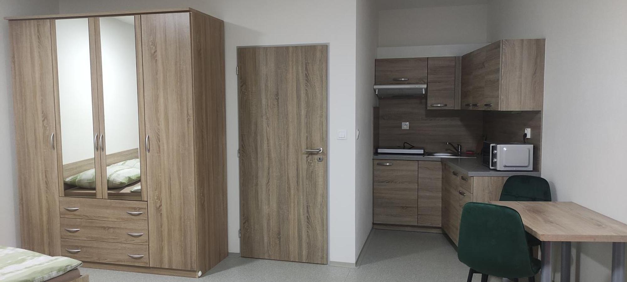 Ubytovaci Zarizeni Koleje Pedagog Ceske Budejovice Luaran gambar